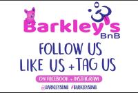 Barkley’s BnB Pet Resort image 2